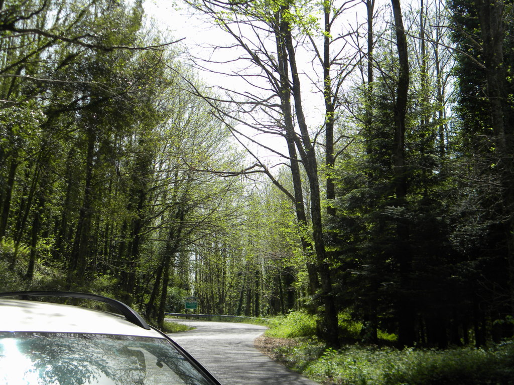 2015-05-06 14.15.32 .jpg